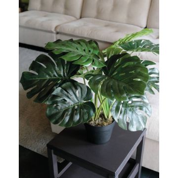 Artificial Philodendron Monstera Deliciosa MUNIN, 22"/55cm Artificial Philodendron Monstera Deliciosa MUNIN, 22"/55cm