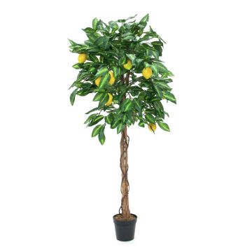 Artificial Lemon tree ZOYA, natural stems, fruits, 5ft/150cm Artificial Lemon tree ZOYA, natural stems, fruits, 5ft/150cm