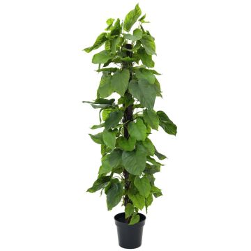 Artificial Pothos HELGO, green, 6ft/180cm Artificial Pothos HELGO, green, 6ft/180cm