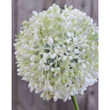 Artificial Allium HELLA, glitter, cream-green, 30"/75cm, Ø4.3"/11cm