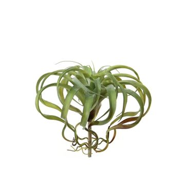 Artificial Tillandsia Xerographica AZARD, spike, green-red, 12"/30cm, Ø 14"/35cm