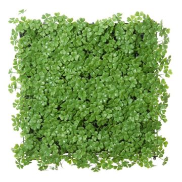 Plastic hedge / mat Lucky clover FUKO, green, 20"x20"/50x50cm Plastic hedge / mat Lucky clover FUKO, green, 20"x20"/50x50cm