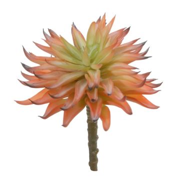 Artificial succulent Echeveria elegans LUGA, spike, orange-green, 6.3"/16cm Artificial succulent Echeveria elegans LUGA, spike, orange-green, 6.3"/16cm