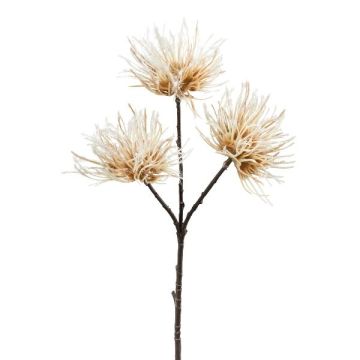 Artificial branch Globe thistle TRELON, cream, 14"/35cm Artificial branch Globe thistle TRELON, cream, 14"/35cm