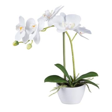 Artificial Phalaenopsis orchid FUNTIF in melamine planter, roots, white, 14"/35cm