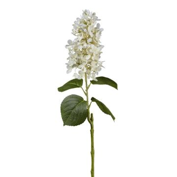 Plastic flower Panicled hydrangea KINELY, white, 30"/75cm