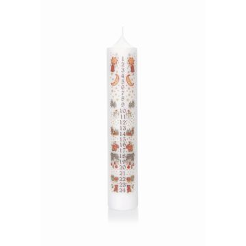 Advent calendar pillar candle LAMBERTINA, Advent days photo print, white and multicoloured, 26.5 cm, Ø5 cm – Made in Germany