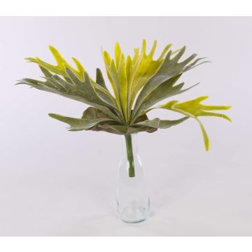 Plastic staghorn fern FIGARO on spike, green-yellow, 14"/35cm, Ø12"/30cm