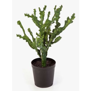 Artificial Euphorbia TIKO, green, 30"/75cm
