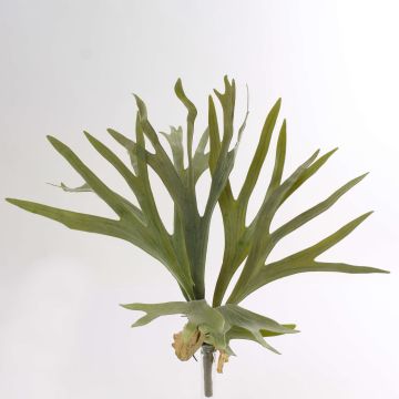 Artificial Staghorn fern GEORGE, spike, green, 16"/40cm, Ø 20"/50cm
