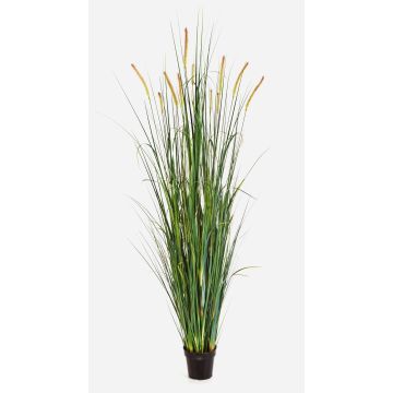 Fake foxtail grass FEHMI with panicles, green, 6ft/175cm