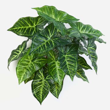 Fake Syngonium SERENO, on spike, green, 18"/45cm Fake Syngonium SERENO, on spike, green, 18"/45cm