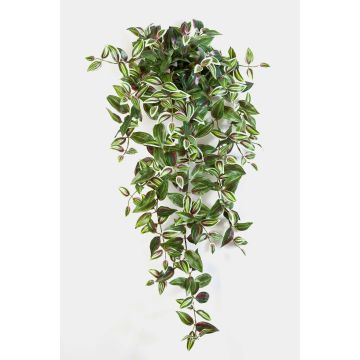 Artificial Tradescantia Zebrina PANCHO, spike, green-purple, 3ft/95cm Artificial Tradescantia Zebrina PANCHO, spike, green-purple, 3ft/95cm