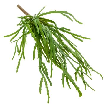 Fake rhipsalis HADRIAN, on spike, green, 14"/35cm