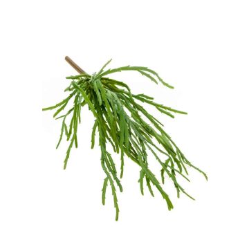 Fake rhipsalis HADRIAN, on spike, green, 14"/35cm