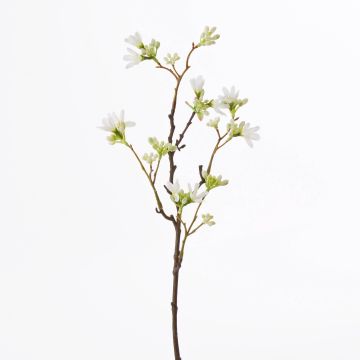 Artificial Seven son flower of Zhejiang MAREN, white, 20"/50cm Artificial Seven son flower of Zhejiang MAREN, white, 20"/50cm