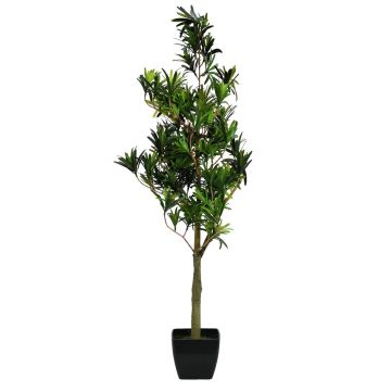 Plastic Podocarpus AMANDO, artificial stem, green, 3ft/90cm Plastic Podocarpus AMANDO, artificial stem, green, 3ft/90cm