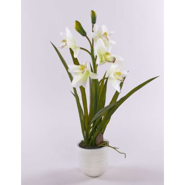 False cymbidium NALA in a terracotta pot, cream, 20"/50cm, Ø2.8"-4"/7-10cm False cymbidium NALA in a terracotta pot, cream, 20"/50cm, Ø2.8"-4"/7-10cm