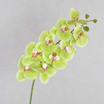 Fake phalaenopsis spray OPHELIA, green-pink, 3ft/100cm, Ø4.7"/12cm