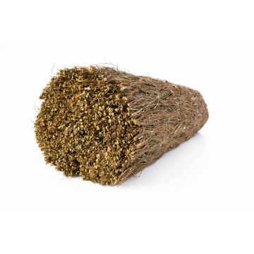 Privacy screen LUKE made of heather, brown, 16ft x 3ft/500cmx100cm