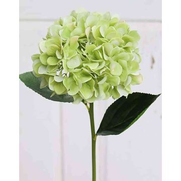 Fake hydrangea TAJANA, light green, 24"/60cm Fake hydrangea TAJANA, light green, 24"/60cm
