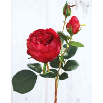 Artificial cabbage rose MIRETTA, red, 24"/60cm, Ø1.2"-3.5"/3-9cm Artificial cabbage rose MIRETTA, red, 24"/60cm, Ø1.2"-3.5"/3-9cm