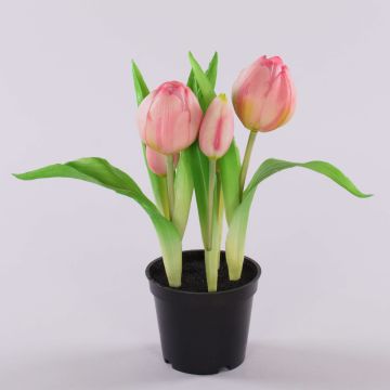 Artificial tulip CAITLYN in decorative pot, light pink-green, 10"/25cm, Ø0.8"-2.4"/2-6cm Artificial tulip CAITLYN in decorative pot, light pink-green, 10"/25cm, Ø0.8"-2.4"/2-6cm
