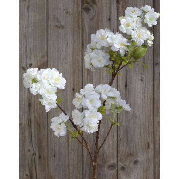 Artificial cherry blossom spray MATSUDA, cream-white, 31"/80cm Artificial cherry blossom spray MATSUDA, cream-white, 31"/80cm