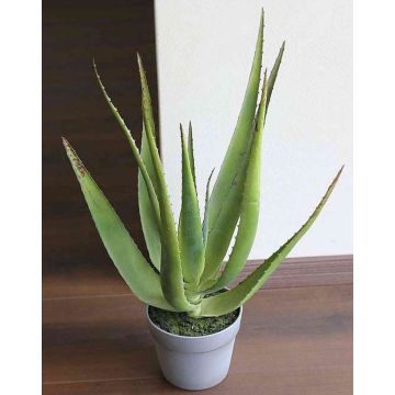 Plastic aloe NAMIKA, in decorative pot, green, 20"/50cm, Ø10"/25cm Plastic aloe NAMIKA, in decorative pot, green, 20"/50cm, Ø10"/25cm
