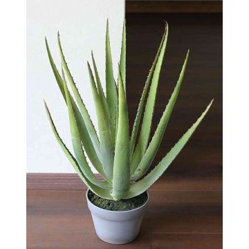 Plastic aloe NAMIKA, in decorative pot, green, 24"/60cm, Ø12"/30cm Plastic aloe NAMIKA, in decorative pot, green, 24"/60cm, Ø12"/30cm