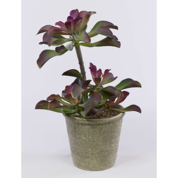 Artificial Echeveria SHAUNA in decorative pot, green-purple, 16"/40cm