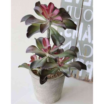 Artificial Echeveria SHAUNA in decorative pot, green-purple, 16"/40cm Artificial Echeveria SHAUNA in decorative pot, green-purple, 16"/40cm