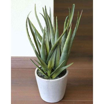 Plastic aloe NAMIKA, in a cement pot, green, 16"/40cm, Ø8"/20cm Plastic aloe NAMIKA, in a cement pot, green, 16"/40cm, Ø8"/20cm