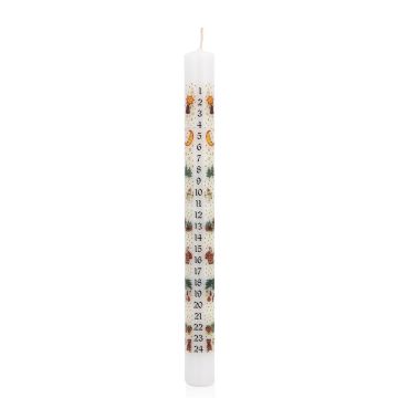 LAMBERTINA Advent calendar taper candle, photo-printed Advent days, white and multicoloured, 25cm, Ø2.3cm – Made in Germany