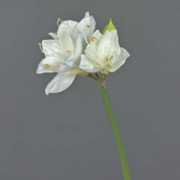 Artificial amaryllis spray BENITA, white, 22"/55cm, Ø4"/10cm