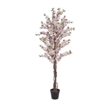 Cherry tree KUMIKO, pink, 5ft/150cm Cherry tree KUMIKO, pink, 5ft/150cm
