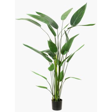 Fake Heliconia ANURIA, green, 6ft/175cm
