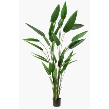 Fake Heliconia ANURIA, green, 7ft/220cm