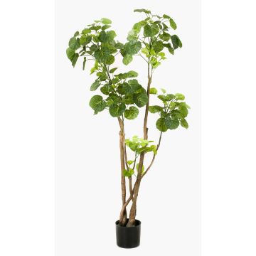 Fake Polyscias FILARO, artificial stems, green, 4ft/135cm