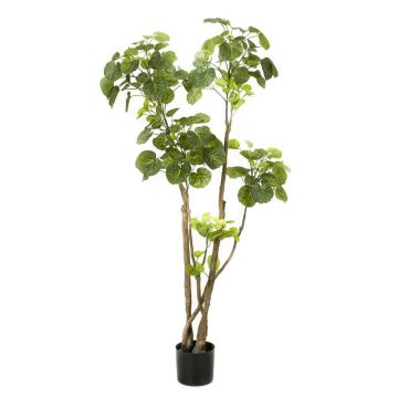 Fake Polyscias FILARO, artificial stems, green, 4ft/135cm Fake Polyscias FILARO, artificial stems, green, 4ft/135cm