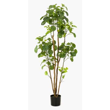 Fake Polyscias FILARO, artificial stems, green, 5ft/160cm
