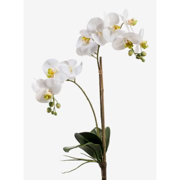 Silk phalaenopsis CANDIDA on spike, white, 26"/65cm, Ø2.8"-3.1"/7-8cm