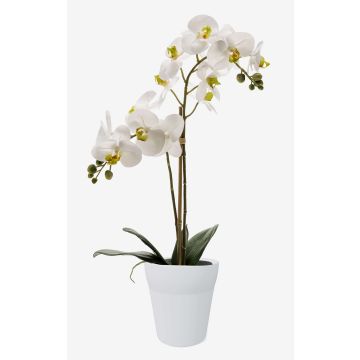 Silk phalaenopsis CANDIDA in a ceramic pot, white, 26"/65cm, Ø2.8"-3.1"/7-8cm