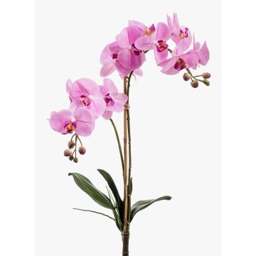 Silk phalaenopsis CANDIDA on spike, pink, 26"/65cm, Ø2.8"-3.1"/7-8cm