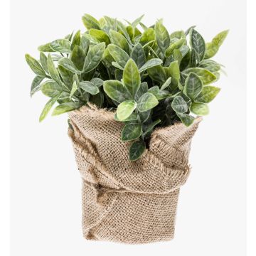Fake sage VITUS, in a jute bag, green-white, 8"/20cm, Ø9"/22cm Fake sage VITUS, in a jute bag, green-white, 8"/20cm, Ø9"/22cm