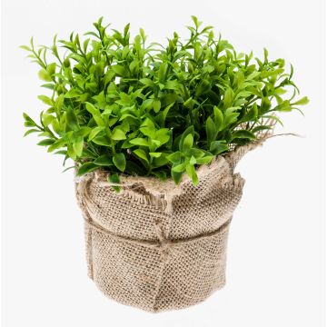 Fake cress VITUS, in a jute bag, green, 7"/17cm, Ø7"/18cm Fake cress VITUS, in a jute bag, green, 7"/17cm, Ø7"/18cm