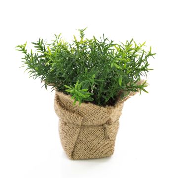 Fake thyme VITUS, in a jute bag, green, 7"/18cm, Ø8"/20cm Fake thyme VITUS, in a jute bag, green, 7"/18cm, Ø8"/20cm