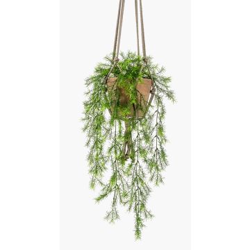 Artificial asparagus SILIJA, terracotta pot, 31"/75cm
