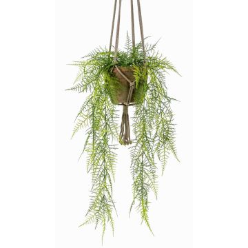 Artificial asparagus SILIJA, terracotta pot, 31"/80cm