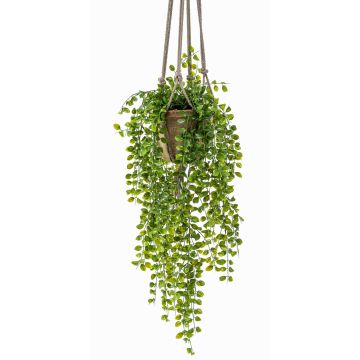 Fake Hanging basket with creeping fig SILIJA, terracotta pot, green, 31"/80cm